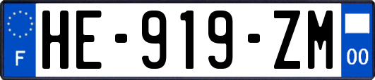 HE-919-ZM