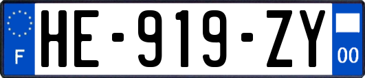 HE-919-ZY