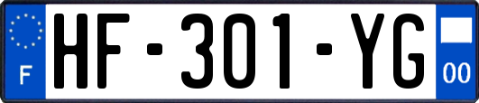 HF-301-YG