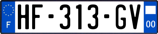 HF-313-GV