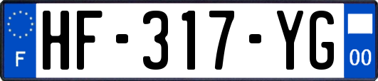 HF-317-YG