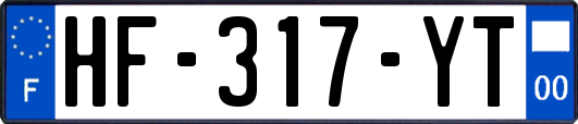 HF-317-YT