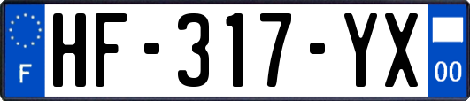 HF-317-YX