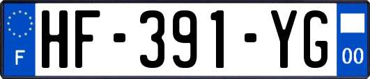 HF-391-YG