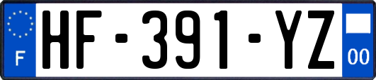HF-391-YZ
