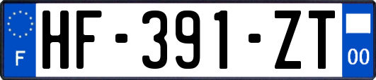 HF-391-ZT