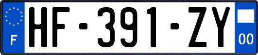 HF-391-ZY