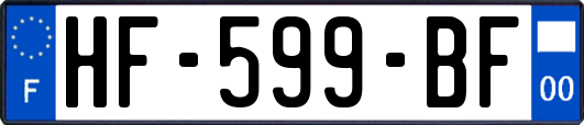 HF-599-BF