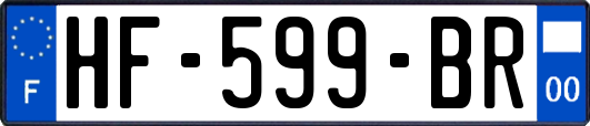 HF-599-BR