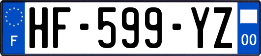 HF-599-YZ