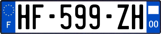 HF-599-ZH