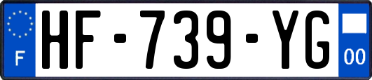 HF-739-YG