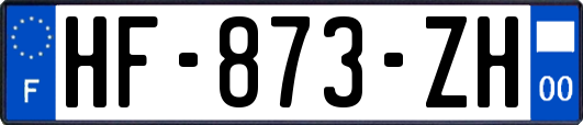 HF-873-ZH