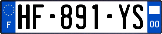 HF-891-YS
