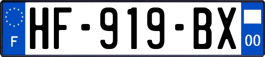 HF-919-BX