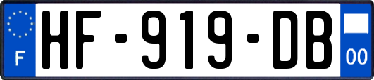 HF-919-DB