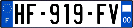 HF-919-FV