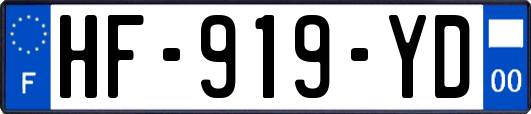 HF-919-YD