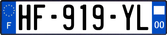 HF-919-YL