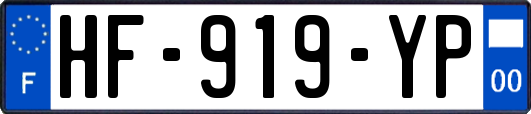 HF-919-YP