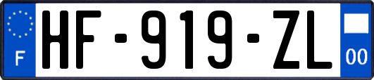 HF-919-ZL