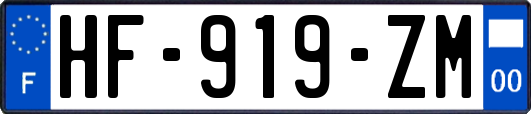 HF-919-ZM