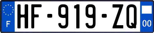 HF-919-ZQ