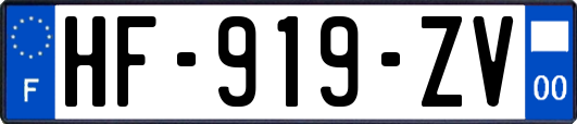 HF-919-ZV