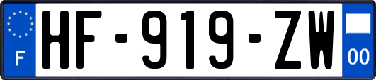 HF-919-ZW