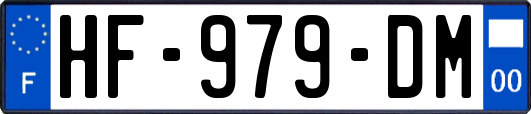 HF-979-DM