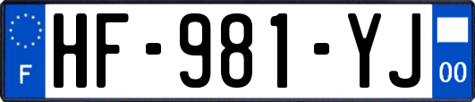 HF-981-YJ