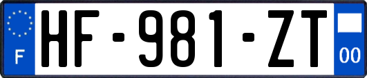 HF-981-ZT