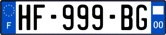 HF-999-BG