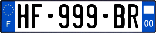 HF-999-BR