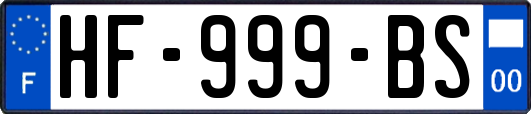 HF-999-BS