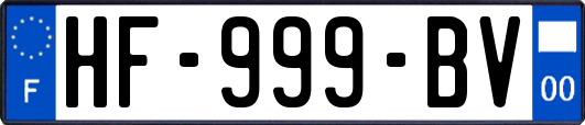 HF-999-BV