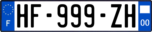HF-999-ZH