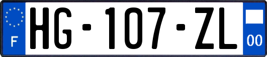 HG-107-ZL