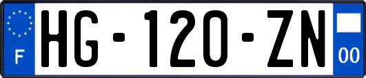 HG-120-ZN