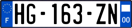 HG-163-ZN