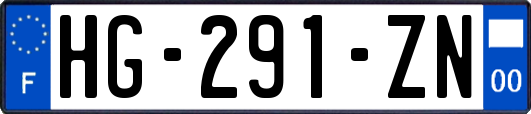 HG-291-ZN