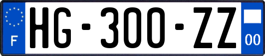 HG-300-ZZ