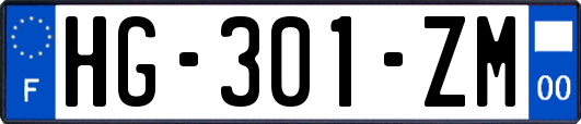HG-301-ZM