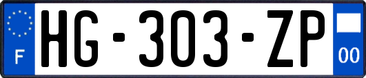 HG-303-ZP