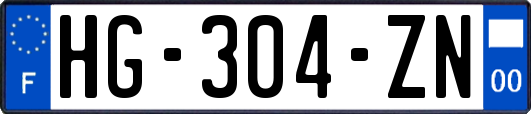 HG-304-ZN