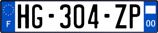 HG-304-ZP