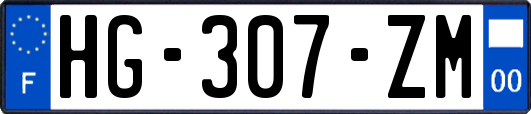 HG-307-ZM