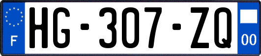 HG-307-ZQ