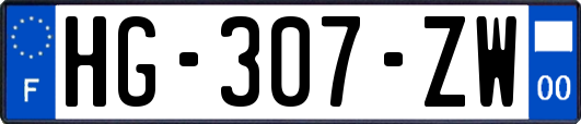 HG-307-ZW