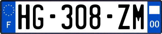 HG-308-ZM